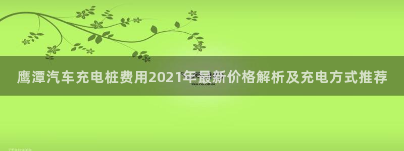 威廉指数设置多少合适：鹰潭汽车充电桩费用2021年最新价格解析及充电方式推荐