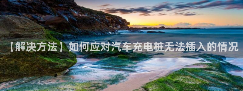 威廉希尔分析软件