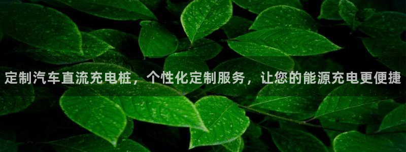 威廉希尔大小球0.91与0.8