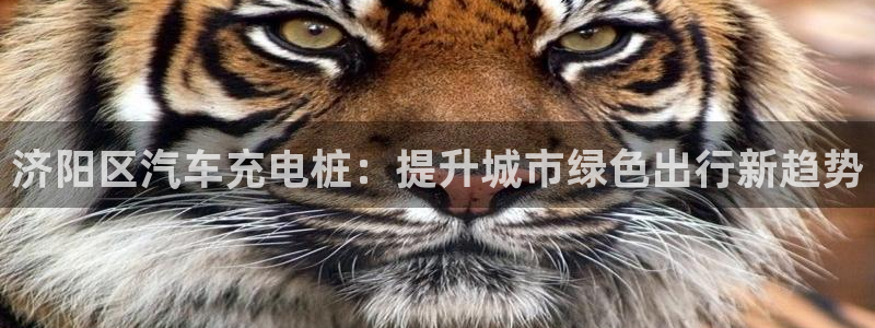 威廉希尔与inter平负比较