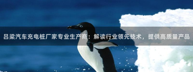 威廉希尔必发欧赔