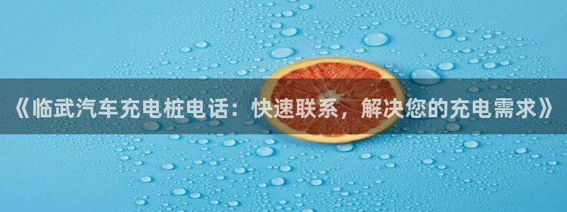 威廉希尔不开盘的比赛：《临武汽车充电桩电话：快速联系，解决您的充电需求》