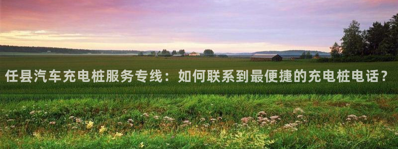 威廉国际是个啥东西：任县汽车充电桩服务专线：如何联系到最便捷的充电桩电话？