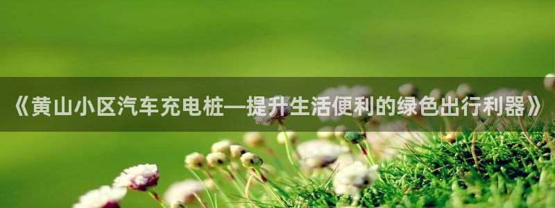 威廉体育下载地址查询：《黄山小区汽车充电桩—提升生活便利的绿色出行利器》
