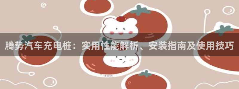 威廉希尔日职2.60是什么意思：腾势汽车充电桩：实用性能解析、安装指南及使用技巧
