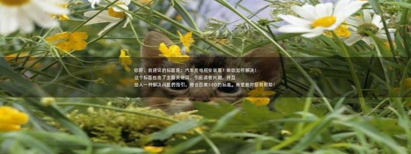 威廉希尔斯：你好，我建议的标题是：汽车充电桩安装难？教你如何解决！
这个标题包含了主题关键词，引起读者兴趣，并且给人一种解决问题的指引。符合百度SEO的标准。希望能对您有帮助！