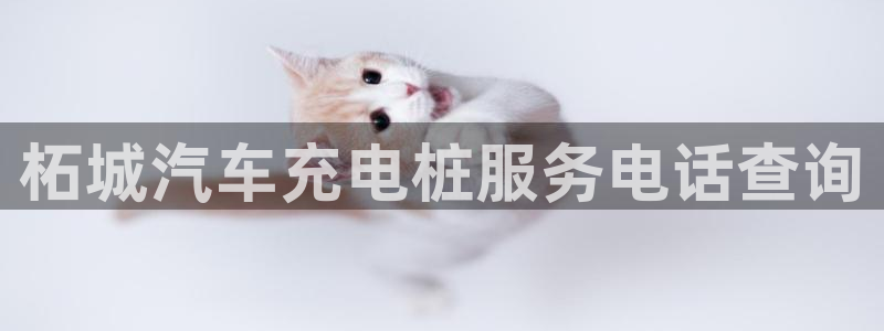 欧冠威廉希尔初赔：柘城汽车充电桩服务电话查询