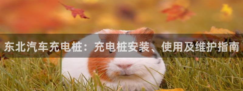 在威廉希尔网站买球可以吗：东北汽车充电桩：充电桩安装、使用及维护指南