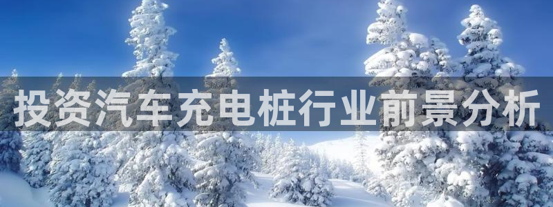 威廉公司官网：投资汽车充电桩行业前景分析