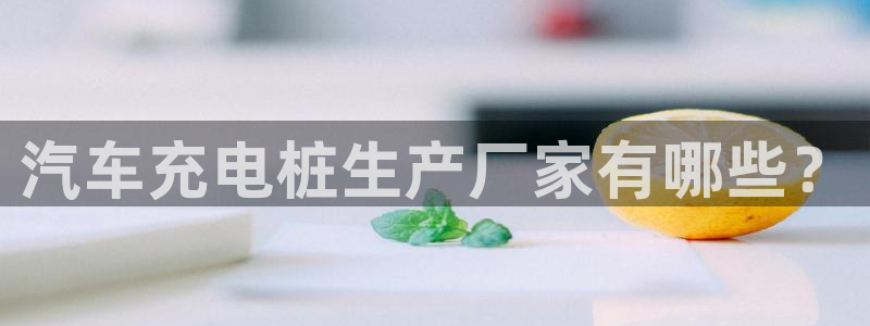 威廉希尔足球分析师：汽车充电桩生产厂家有哪些？