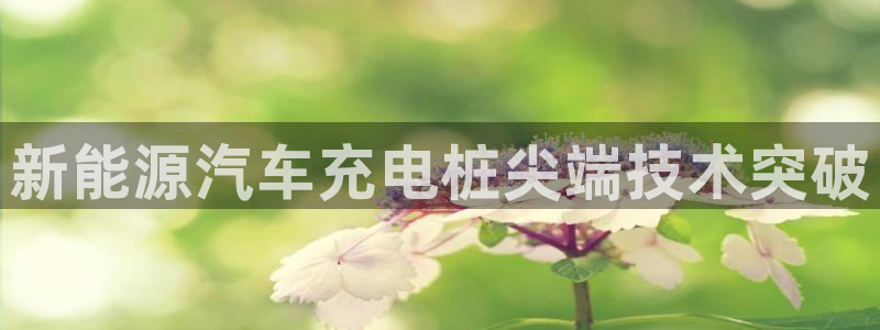 威廉体育下载地址在哪：新能源汽车充电桩尖端技术突破