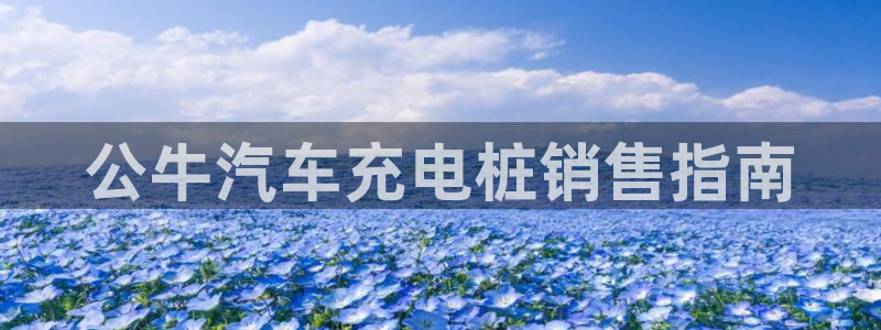 威廉希尔比立博返还率高或者低怎么判断：公牛汽车充电桩销售指南