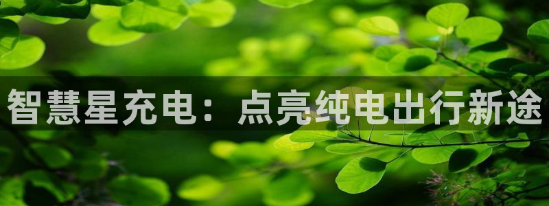 威廉希尔网页版：智慧星充电：点亮纯电出行新途