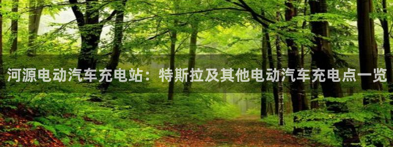 威廉希尔西甲1.44,4.6,6.5什么赛果：河源电动汽车充电站：特斯拉及其他电动汽车充电点一览