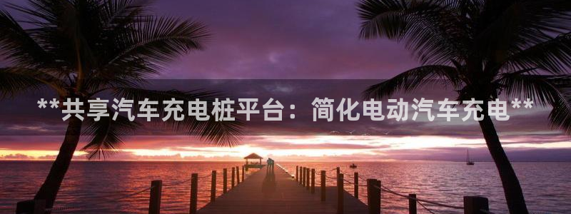 威廉希尔1.44是意思：**共享汽车充电桩平台：简化电动汽车充电**