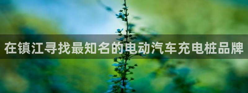 威廉希尔让球数据：在镇江寻找最知名的电动汽车充电桩品牌