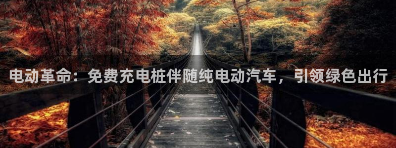 威廉希尔提现：电动革命：免费充电桩伴随纯电动汽车，引领绿色出行