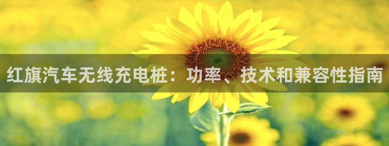 威廉希尔500指数：红旗汽车无线充电桩：功率、技术和兼容性指南