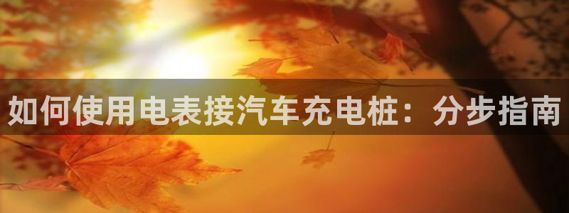 威廉希尔凯利值预测结果：如何使用电表接汽车充电桩：分步指南