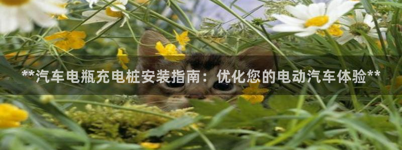 威廉希尔如何分析：**汽车电瓶充电桩安装指南：优化您的电动汽车体验**