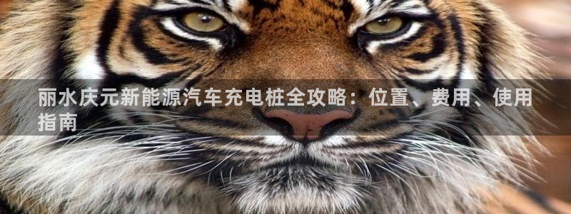 威廉希尔WilliamHill官方网站