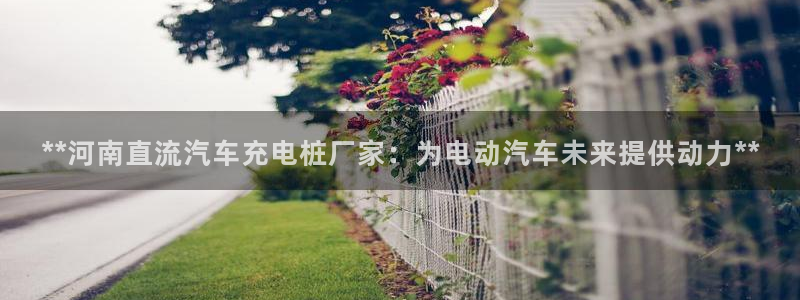 威廉希尔大小球开盘思维：**河南直流汽车充电桩厂家：为电动汽车未来提供动力**