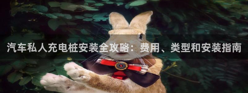 威廉希尔公司在哪：汽车私人充电桩安装全攻略：费用、类型和安装指南