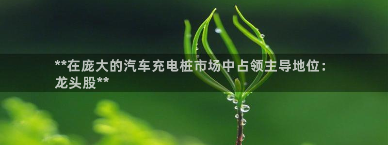 威廉希尔官网手机客户端：**在庞大的汽车充电桩市场中占领主导地位：
龙头股**