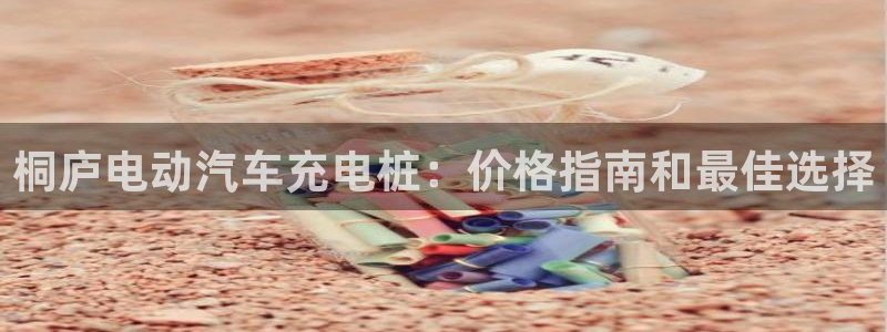 威廉国际校服：桐庐电动汽车充电桩：价格指南和最佳选择