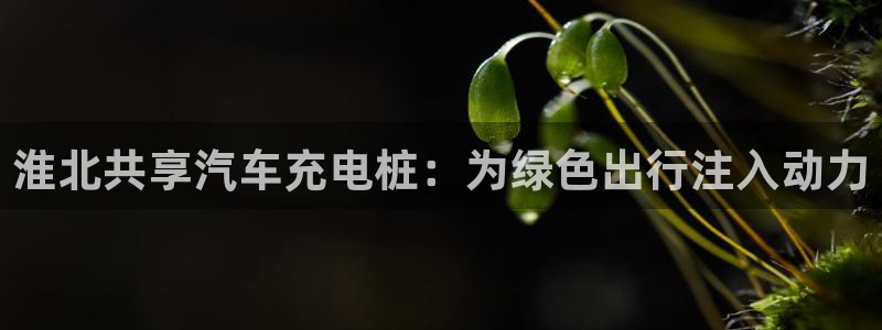 威廉娱乐2023官方版-4.12 Inurl:fayunsi：淮北共享汽车充电桩：为绿色出行注入动力
