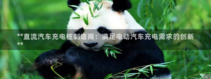 威廉国际：**直流汽车充电桩制造商：满足电动汽车充电需求的创新
**
