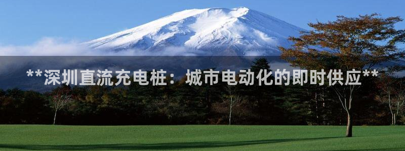 澳门与威廉主胜一致：**深圳直流充电桩：城市电动化的即时供应**