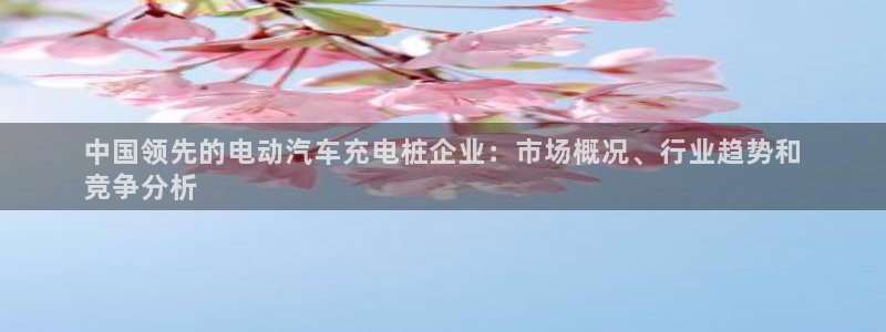 威廉希尔大小球：中国领先的电动汽车充电桩企业：市场概况、行业趋势和
竞争分析