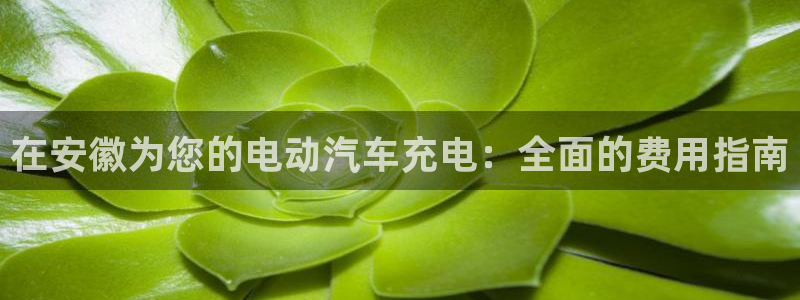 威廉希尔有限公司是国企吗：在安徽为您的电动汽车充电：全面的费用指南