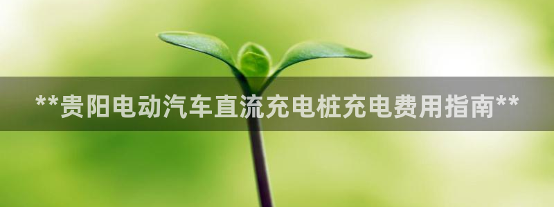 威廉希尔看盘是看初盘还是变盘：**贵阳电动汽车直流充电桩充电费用指南**