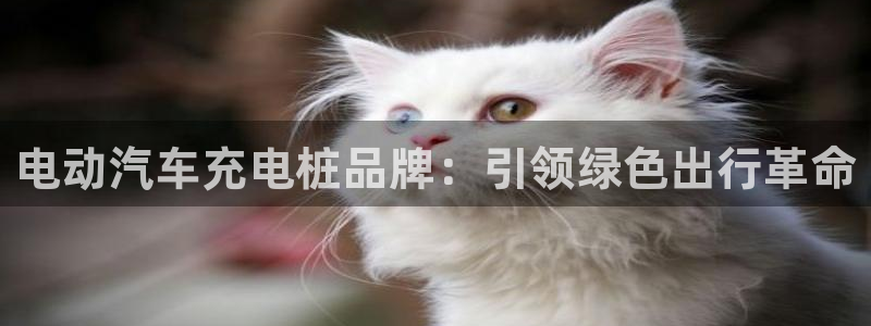 威廉希尔中文官网地址：电动汽车充电桩品牌：引领绿色出行革命