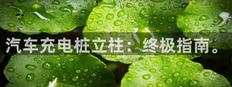 威廉希尔1.30 5.00 7.50：汽车充电桩立柱：终极指南。