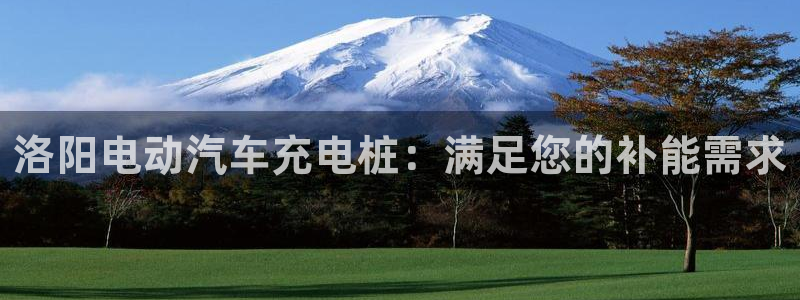 威廉希尔1.33 5 9对应赛果：洛阳电动汽车充电桩：满足您的补能需求