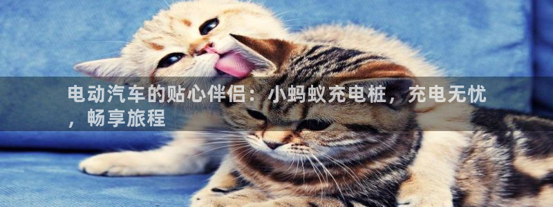 威廉希尔在中国有没有平台：电动汽车的贴心伴侣：小蚂蚁充电桩，充电无忧
，畅享旅程