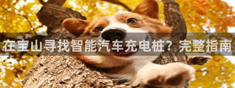 威廉希尔是什么水平的公司啊：在宝山寻找智能汽车充电桩？完整指南