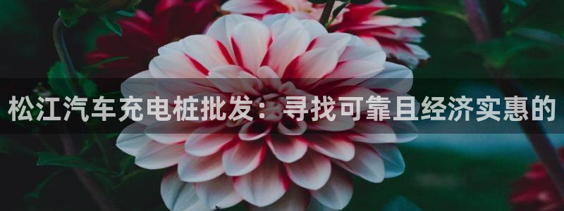 威廉希尔和立博相同项：松江汽车充电桩批发：寻找可靠且经济实惠的