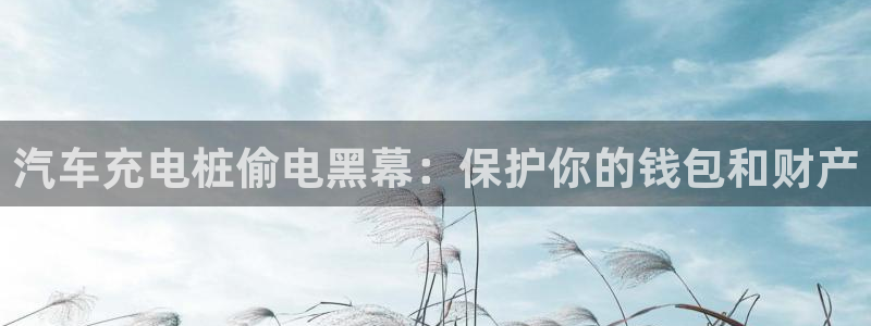 威廉希尔与int对比分析：汽车充电桩偷电黑幕：保护你的钱包和财产