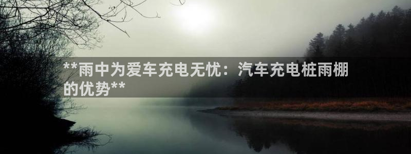 威廉体育中文：**雨中为爱车充电无忧：汽车充电桩雨棚
的优势**