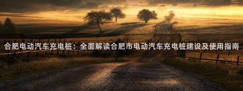 威廉希尔官网哪里有：合肥电动汽车充电桩：全面解读合肥市电动汽车充电桩建设及使用指南
