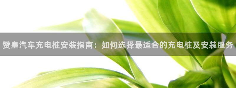 威廉希尔在中国怎么买的：赞皇汽车充电桩安装指南：如何选择最适合的充电桩及安装服务