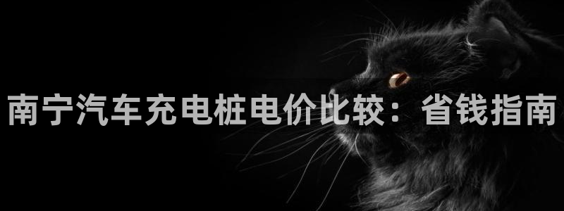威廉国际不能提现：南宁汽车充电桩电价比较：省钱指南