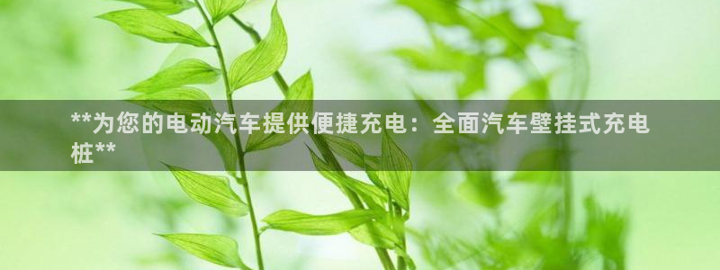 威廉足球软件下载安装：**为您的电动汽车提供便捷充电：全面汽车壁挂式充电
桩**
