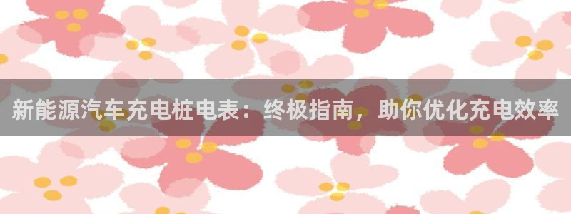 威廉国际ktv：新能源汽车充电桩电表：终极指南，助你优化充电效率
