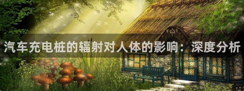 威廉希尔对比：汽车充电桩的辐射对人体的影响：深度分析