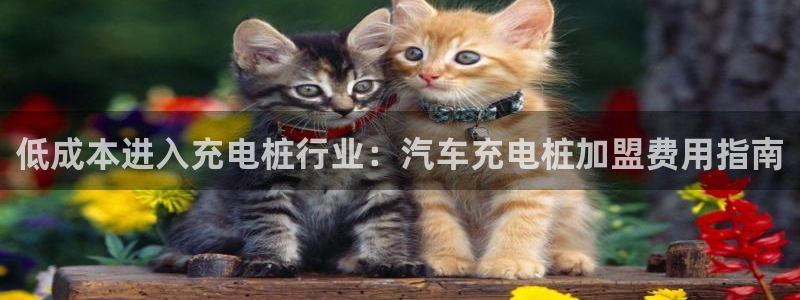 威廉希尔开亚盘吗：低成本进入充电桩行业：汽车充电桩加盟费用指南
